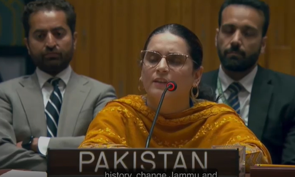 جموں و کشمیر نہ بھارت کا اٹوٹ انگ ہے  اور نہ ہی اس کا داخلی معاملہ:پاکستان
