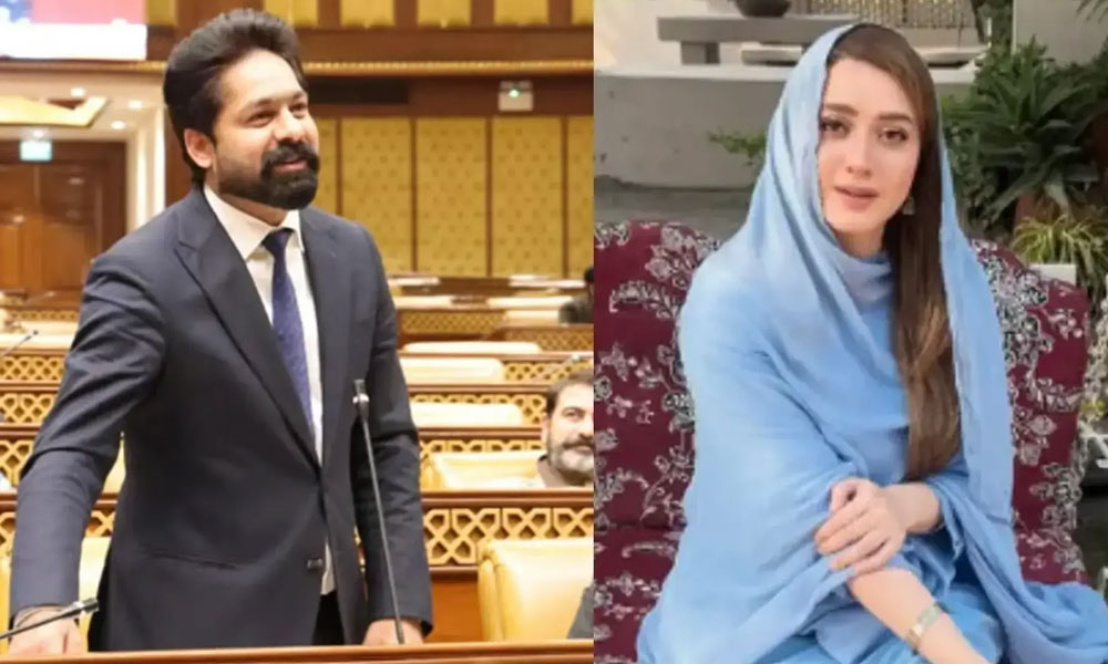 مومنہ اقبال ہراسگی کیس، ن لیگی رکن ثاقب چدھڑ اور اہلیہ کی عبوری ضمانت میں توسیع