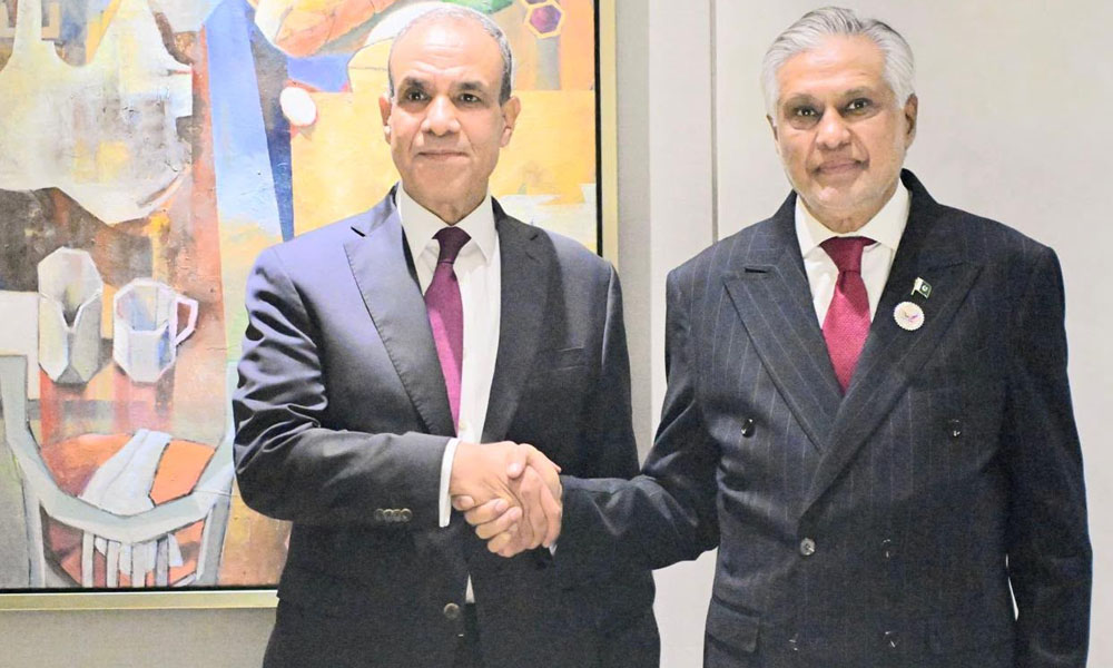 اسحاق ڈار اور مصری وزیر خارجہ کی ملاقات، دوطرفہ تعاون اور مشرقِ وسطیٰ کی صورتحال پر تبادلہ خیال