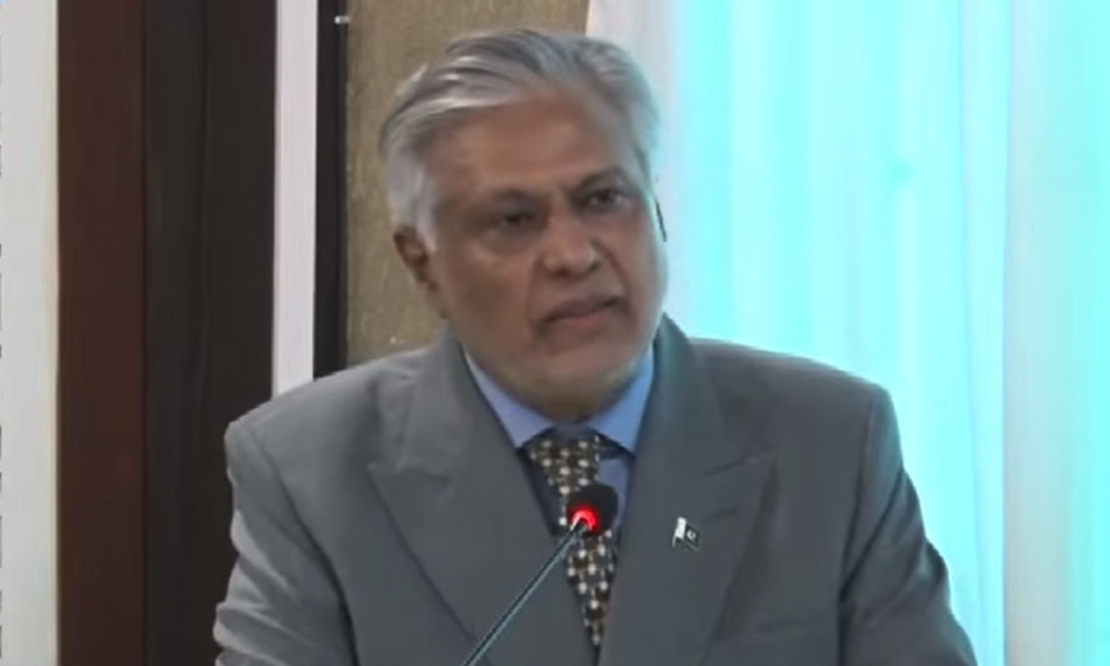 پاکستان اور امریکا علاقائی امن و استحکام کیلئے مل کر کام کر رہے ہیں ، اسحاق ڈار