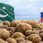 روس نے پنجاب سے آلو درآمد کرنے کی اجازت دے دی