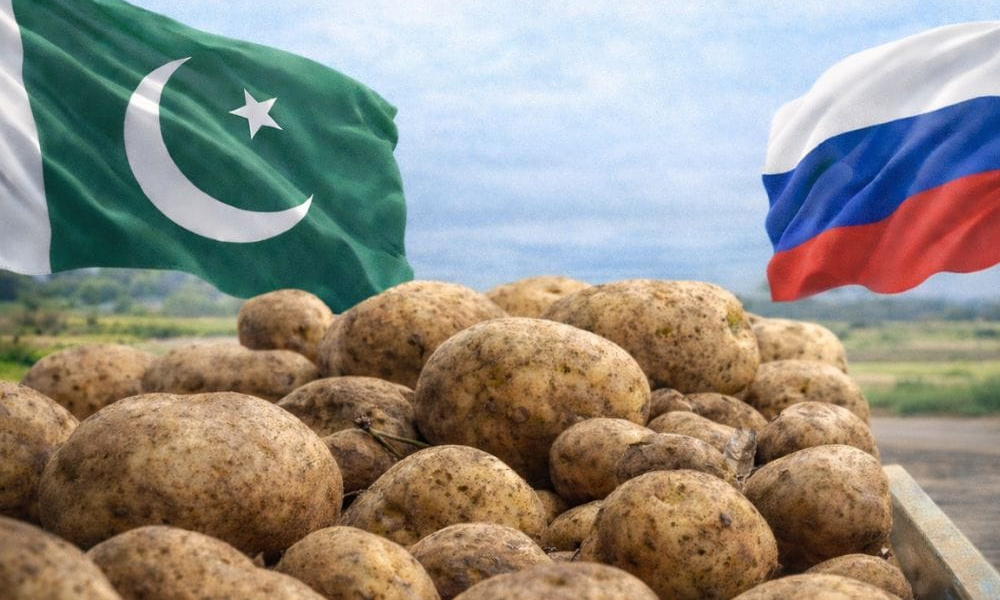 روس نے پنجاب سے آلو درآمد کرنے کی اجازت دے دی
