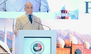 صدرطیب اردوان کی مخلصانہ حمایت سے پاکستان کو ثالثی کا کردار ملا، وزیراعظم
