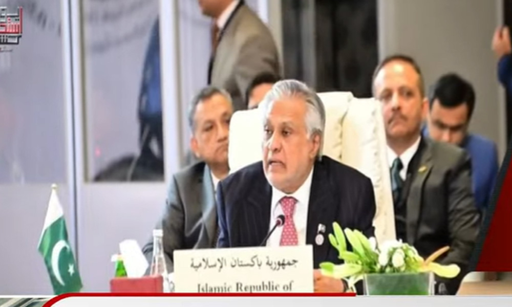 فلسطین کی آزادی کیلئے عرب اور مسلم ممالک کو متحد ہو کر کردار ادا کرنا ہوگا، اسحاق ڈار