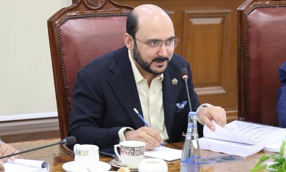 بہاولپور ضمنی الیکشن، پیپلز پارٹی کا ن لیگی امیدوار کی حمایت کا اعلان