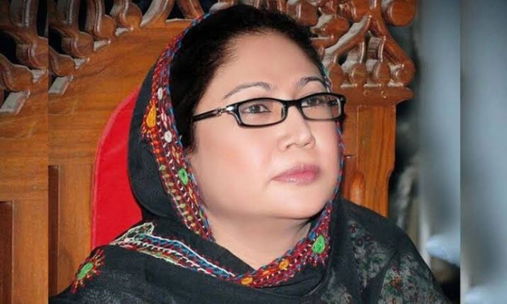 پیپلز پارٹی نے فریال تالپور کو پنجاب میں بلدیاتی انتخابات کا ٹاسک دے دیا