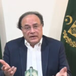 احتجاج اور دھرنوں سے معیشت کو یومیہ 120 ارب روپے نقصان ہو گا، وزیر خزانہ