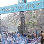 پنجاب یونیورسٹی احتجاج، اساتذہ و ملازمین کے خلاف مقدمہ، نامزد افراد کی ضمانت منظور
