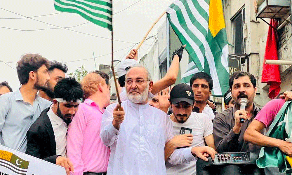 ایف 10 مظاہرہ کیس میں سینیٹر مشتاق سمیت 96 ملزمان کی ضمانتیں منظور