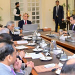 وزیراعظم نے فیول سبسڈی کے آسان حصول کیلئے سہولت ڈیسک قائم کرنے کی ہدایت کر دی