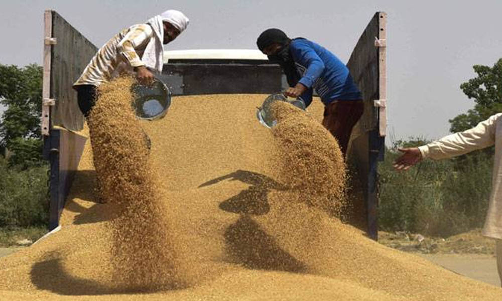 گندم کی قیمت 5 ہزار روپے مقرر کرنے کی تجویز، پنجاب اسمبلی میں تحریکِ التوا جمع