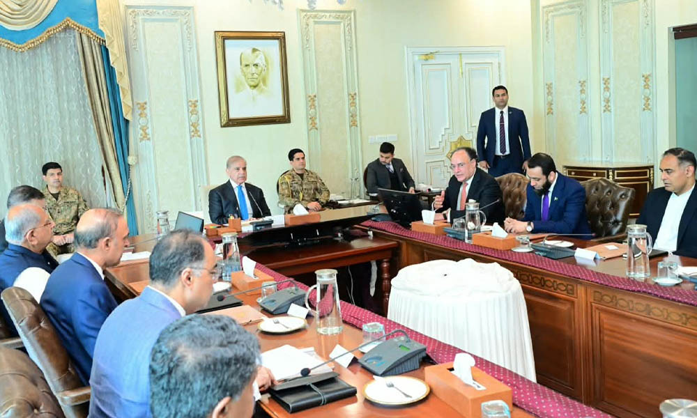 فیول سبسڈی اسکیم سے ایک کروڑ سے زائد افراد مستفید، وزیراعظم کا شزا فاطمہ کیلئے تمغے کا اعلان