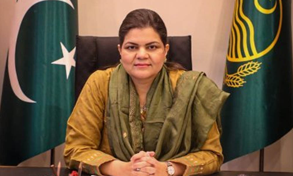 پنجاب میں سلمیٰ بٹ صوبائی وزیر مقرر، نوٹیفکیشن جاری