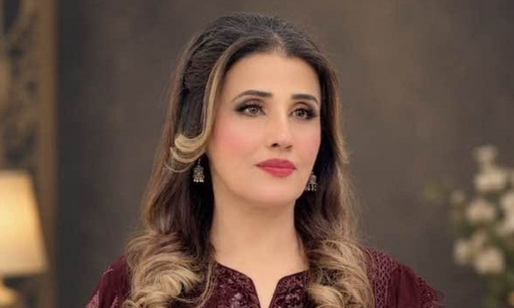 کراچی میں معروف گلوکارہ حمیرا چنا کی گاڑی چوری