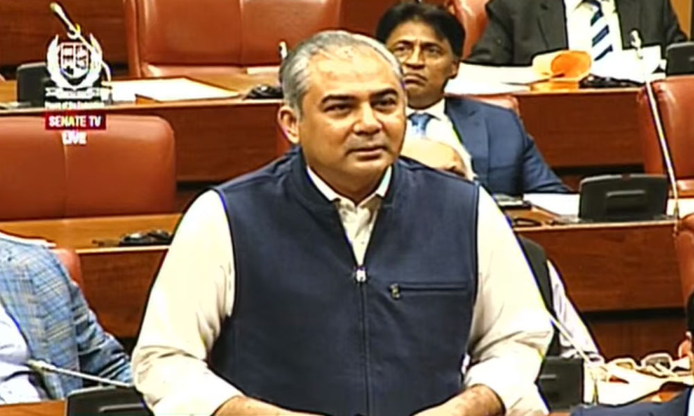 مولانا فضل الرحمان اب آپ کو ریاست میں نوکری نہیں ملے گی، محسن نقوی