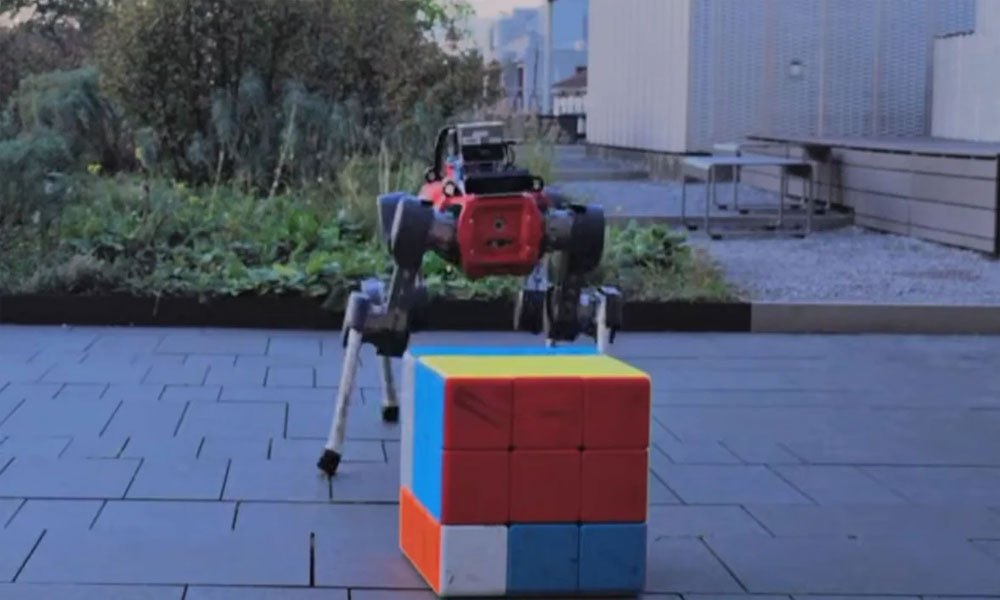 Robot
