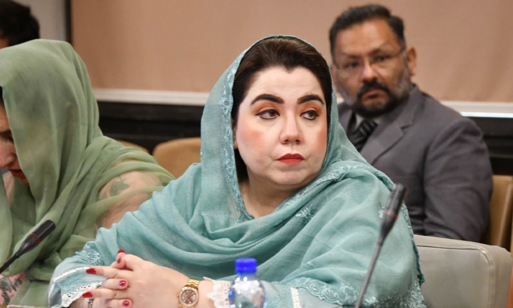 لیفٹیننٹ جنرل (ر) نگار جوہر سے منسوب صحت کارڈ کے خاتمے کا بیان بے بنیاد ہے، ثمر بلور