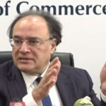 آبادی میں اضافہ اور موسمیاتی تبدیلی پاکستان کی بقا کو خطرے میں ڈالنے والے مسائل ہیں، وزیر خزانہ