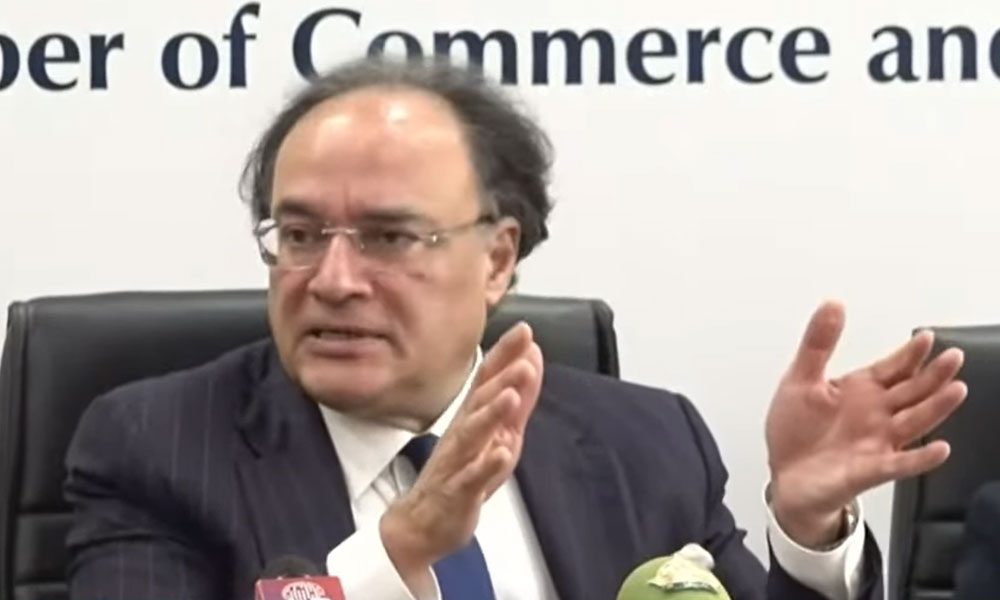 آبادی میں اضافہ اور موسمیاتی تبدیلی پاکستان کی بقا کو خطرے میں ڈالنے والے مسائل ہیں، وزیر خزانہ