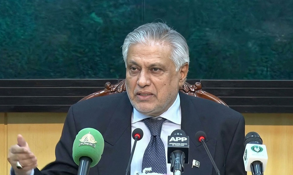 جنرل اسمبلی میں پاکستان نے فلسطین، کشمیر اور عالمی امن پر مؤثر مؤقف پیش کیا، اسحاق ڈار