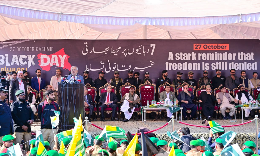 ’کشمیر بنے گا پاکستان‘ ہر کشمیری اور پاکستانی کے دل کی آواز ہے، اسحاق ڈار