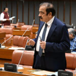 باقی مطالبات چھوڑ کر دہشت گردی پر بات کریں، رانا ثنااللہ کی اپوزیشن کو دعوت