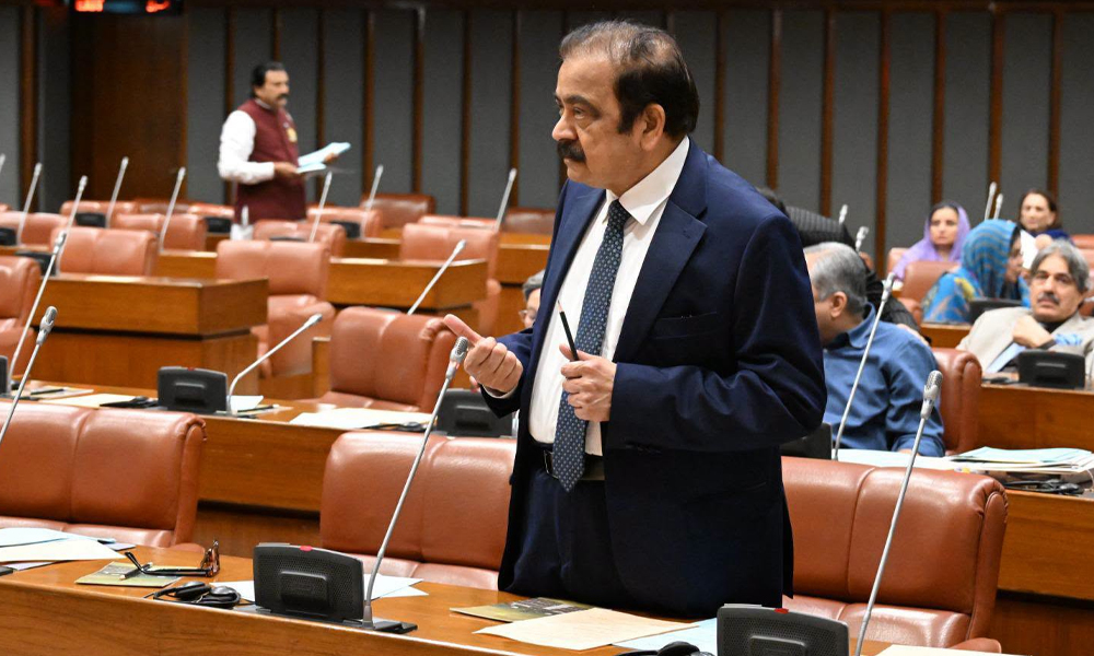 باقی مطالبات چھوڑ کر دہشتگردی پر بات کریں، رانا ثنااللہ کی اپوزیشن کو دعوت